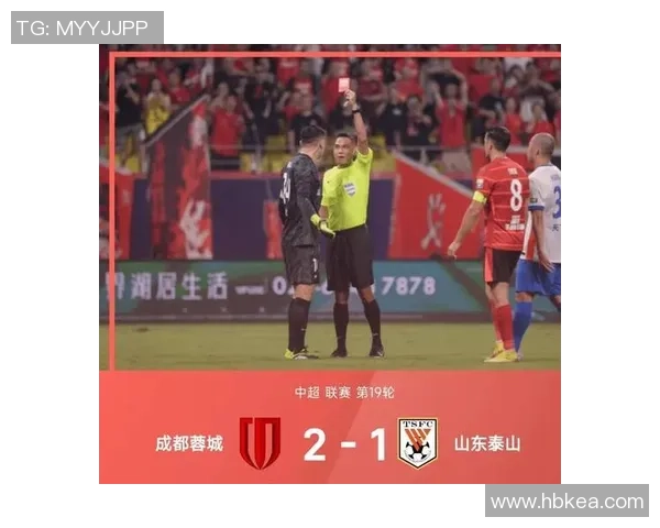 2010年申花与哄队激战回顾：一场难忘的足球盛宴与激情对决