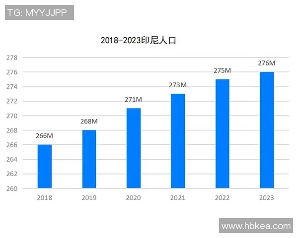 印度尼西亚与毛里求斯的足球对决分析与精彩瞬间回顾 印度尼西亚与毛里求斯的足球对决分析与精彩瞬间回顾