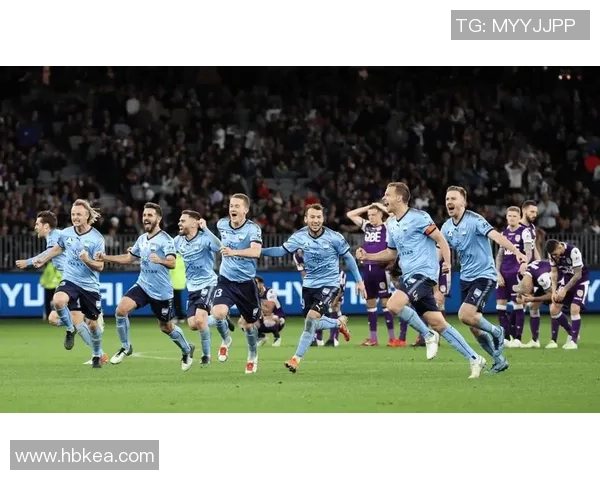 惠灵顿凤凰与悉尼FC历史交锋回顾与战绩分析 惠灵顿凤凰与悉尼FC历史交锋回顾与战绩分析