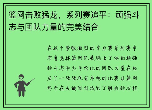 篮网击败猛龙，系列赛追平：顽强斗志与团队力量的完美结合